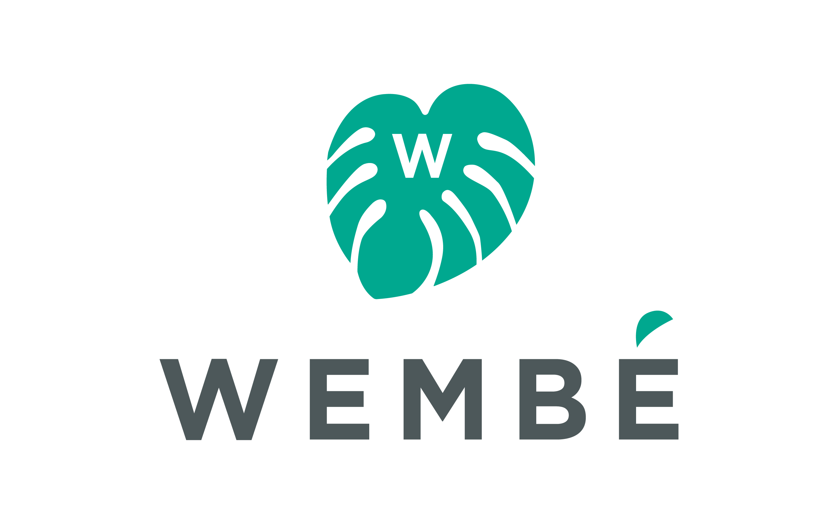 logo main